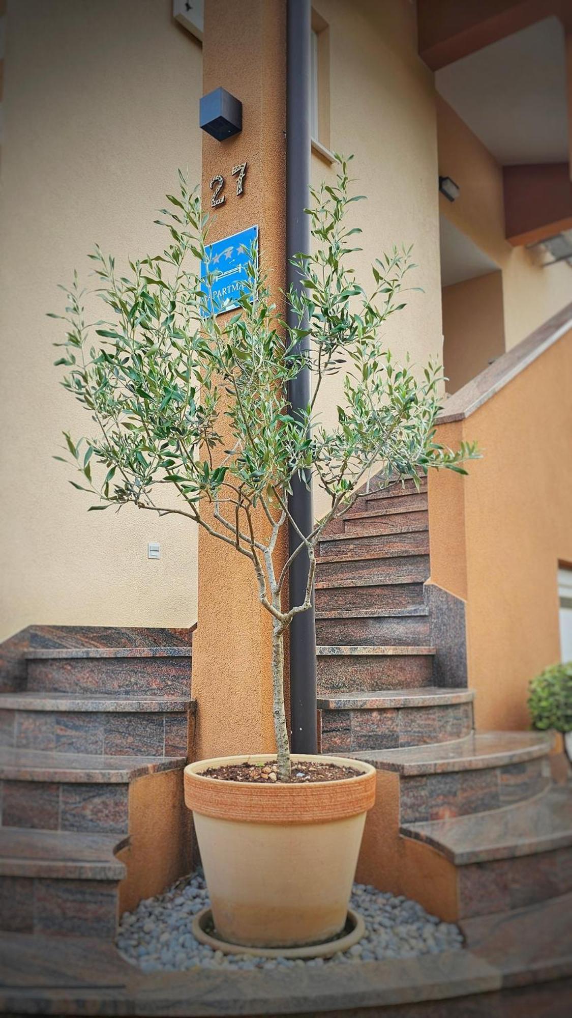 Premium Apartments Tade Funtana Exterior photo
